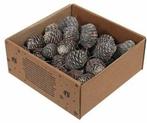 Leucadendron Murri op draad White Wash 50 stuks, Huis en Inrichting, Woonaccessoires | Kunstplanten en Kunstbloemen, Nieuw