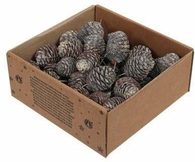 Leucadendron Murri op draad White Wash 50 stuks, Huis en Inrichting, Woonaccessoires | Kunstplanten en Kunstbloemen, Nieuw