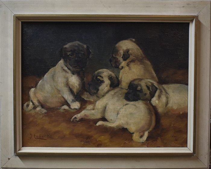 Jean Lefort (XX) - Young Puppies., Antiek en Kunst, Kunst | Schilderijen | Klassiek