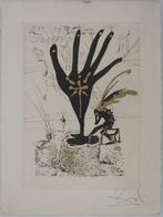 Salvador Dali (1904-1989) - Amours Jaunes : Fleur dart