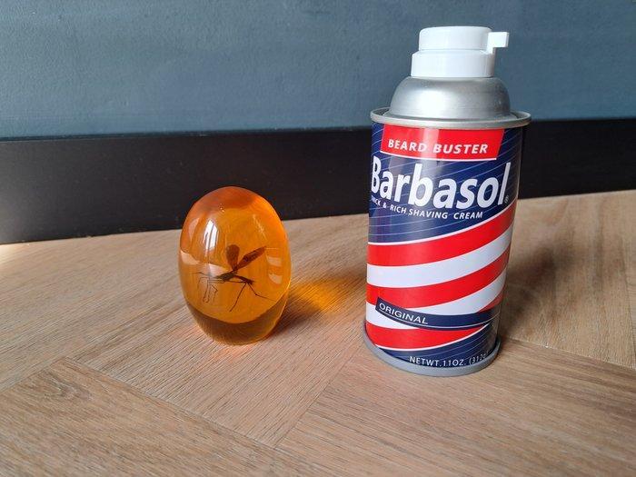 Jurassic Park, Collections, Cinéma & Télévision