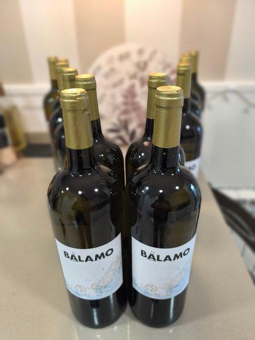 2024 Bodegas La Vereda Tierra y Vinos, Balamo - Rias Baixas, Verzamelen, Wijnen