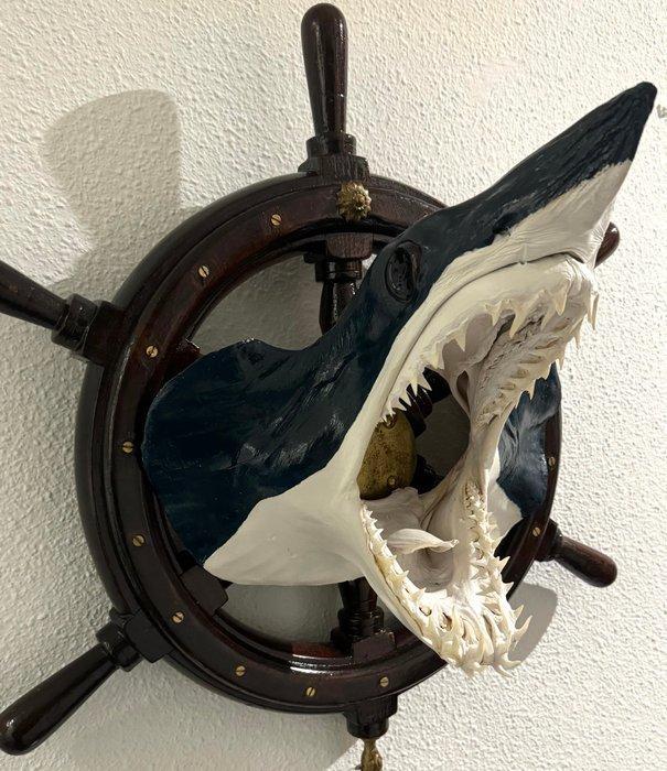 Grande tête de requin mako avec gouvernail Support de tête, Antiek en Kunst, Curiosa en Brocante