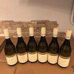 2023 Oddero, Riesling - Piëmont DOC - 6 Flessen (0.75 liter), Nieuw