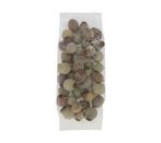 Eucalyptus Bells Zaaddozen Los 250 gram, Nieuw
