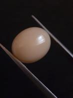 Natural White crystal Opal of 4.665 ct in oval cabochon - un, Verzenden, Nieuw
