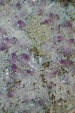 amethist Kristalcluster - Hoogte: 12 in - Breedte: 10 in- 15