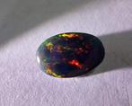 Black Opal Cabochon 2,76 ct.- 0.55 g - (1)