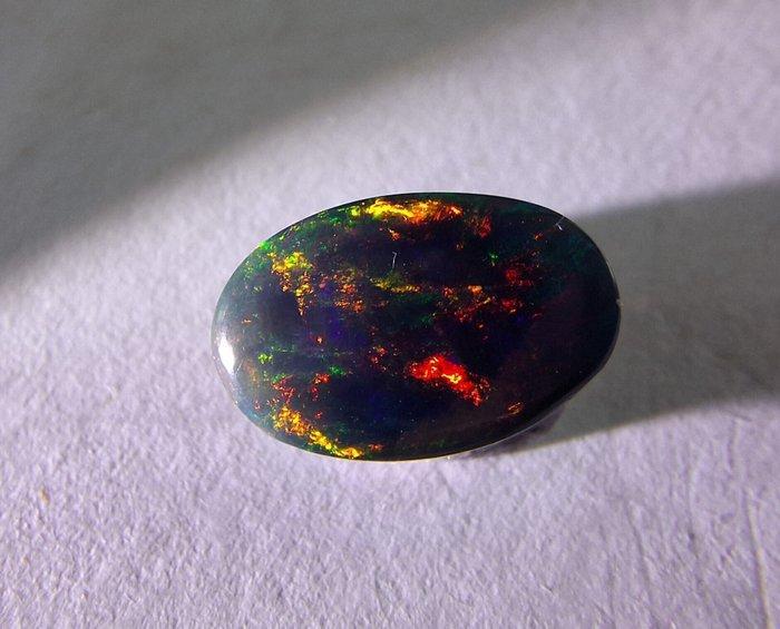 Black Opal Cabochon 2,76 ct.- 0.55 g - (1), Verzamelen, Mineralen en Fossielen