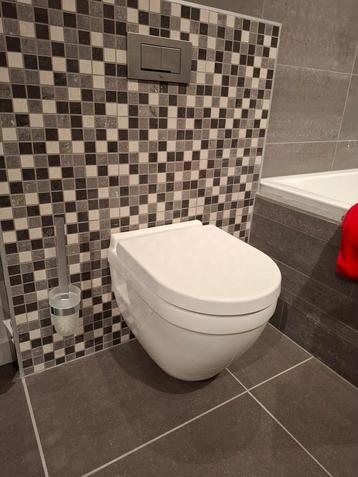 Hangtoilet met spoelrand -  Toonzaalmodel, Ophalen, Toilet