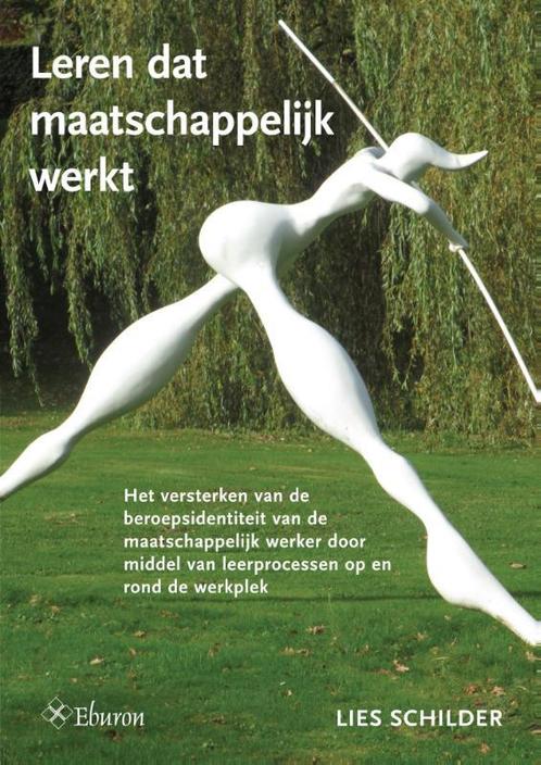 Leren dat maatschappelijk werkt 9789059727168 Lies Schilder, Boeken, Politiek en Maatschappij, Zo goed als nieuw, Verzenden