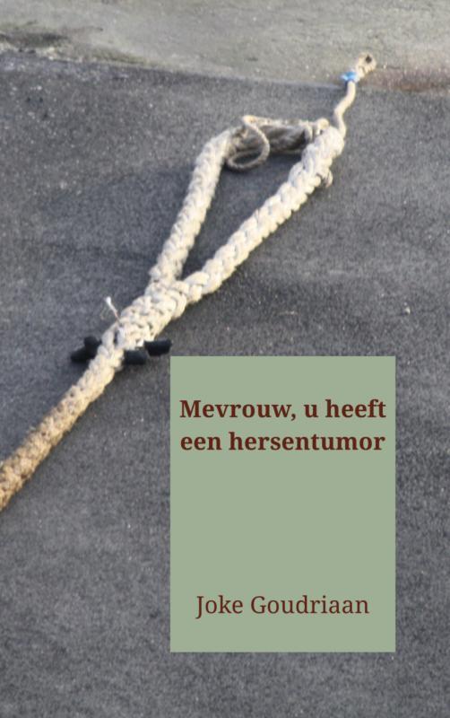 Mevrouw, u heeft een hersentumor 9789402143669, Boeken, Wetenschap, Gelezen, Verzenden