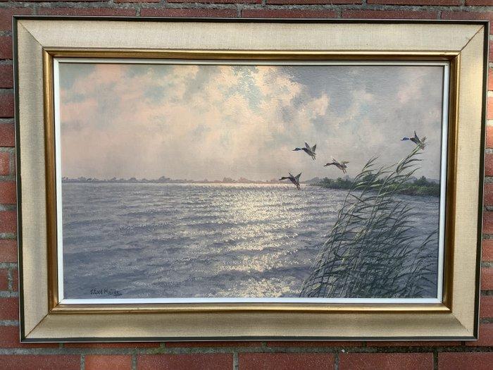 Jacobus Leonardus van der Meide (1910 - 2002) - Ducks flying, Antiek en Kunst, Kunst | Schilderijen | Klassiek