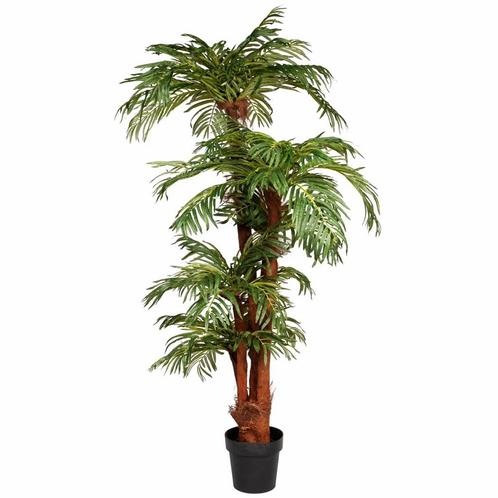 Kunstplant | KOKOS PALM | Groen | Indoor | 1500/2000(h)mm, Zakelijke goederen, Horeca | Keukenapparatuur, Nieuw in verpakking