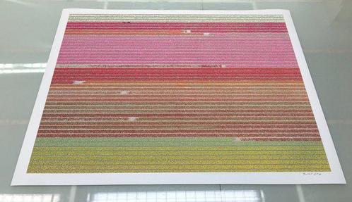 Bernhard Lang - AV_Tulip_Fields_035 - XXL, Antiek en Kunst, Kunst | Schilderijen | Modern