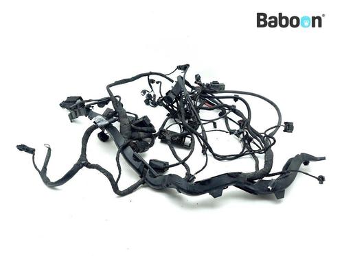 Kabelboom BMW R 1200 RT 2014-> (R1200RT LC K52) (8562119), Motoren, Onderdelen | BMW, Gebruikt, Verzenden