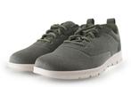 Timberland Sneakers in maat 44 Groen | 5% extra korting, Kleding | Heren, Schoenen, Overige kleuren, Verzenden, Timberland, Zo goed als nieuw