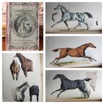 A Knowing Hand - The Horse: His Beauties and Defects. - 1866