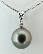 Zonder Minimumprijs - Tahitian Pearl, Rosy Peacock,