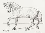 Lesbre - Précis d’extérieur du cheval - 1930