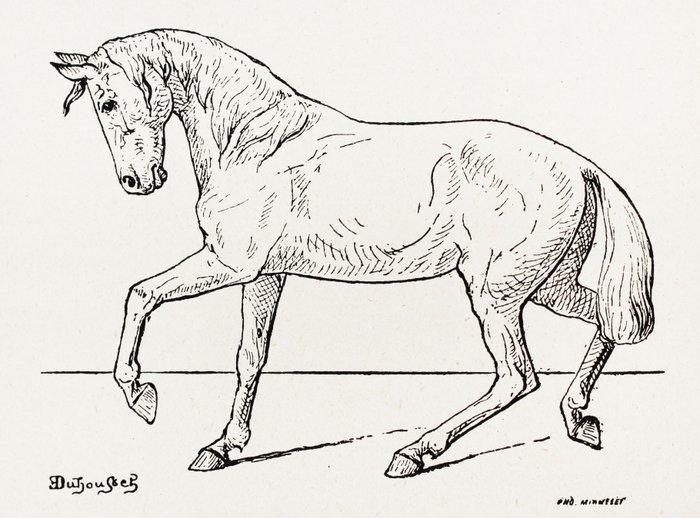 Lesbre - Précis d’extérieur du cheval - 1930, Antiek en Kunst, Antiek | Boeken en Manuscripten