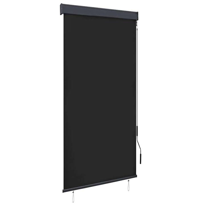 vidaXL Rolgordijn voor buiten 100x250 cm antraciet, Huis en Inrichting, Stoffering | Gordijnen en Lamellen, Nieuw, Verzenden