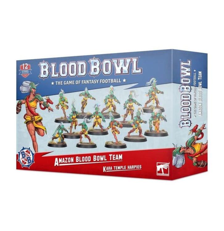 Amazon Blood Bowl Team (Warhammer nieuw), Hobby en Vrije tijd, Wargaming, Ophalen of Verzenden