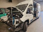 Fiat Ducato 35 Fourgon LWB 2019 Gesloten..., Nieuw