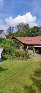 6000 sneldek dakpannen rustiek rood, Dakpannen