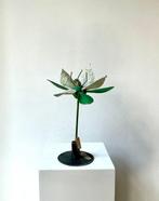 Anatomisch model - Papier-maché - 1920-1930, 1930-1940 -