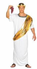 Caesar Kostuum Romeins, Kleding | Heren, Carnavalskleding en Feestkleding, Verzenden, Nieuw