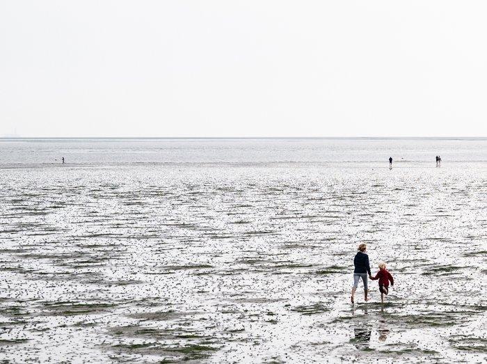 Alessandro Gandolfi - Wadden #1, Antiek en Kunst, Kunst | Designobjecten