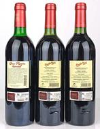 1989 , 1995, 1998 Castillo Ygay Bodegas Marqués de Murrieta, Verzamelen, Wijnen, Nieuw