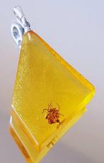 Pendentif très rare en ambre naturel de la Baltique avec une, Verzamelen