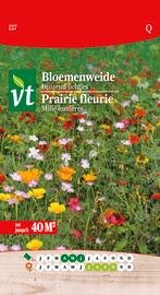 NIEUW - Bloemenweide duizend lichtjes 40 m², Tuin en Terras, Bloembollen en Zaden, Verzenden