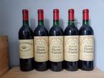 1987 x 4 Chateau Gloria & 1988 Clos du Marquis -, Verzamelen, Nieuw