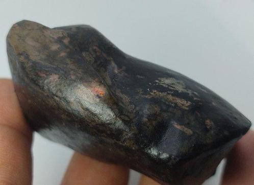 Ovat naturel noir de 416 carats en ébauche Fossile de bois -, Verzamelen, Mineralen en Fossielen