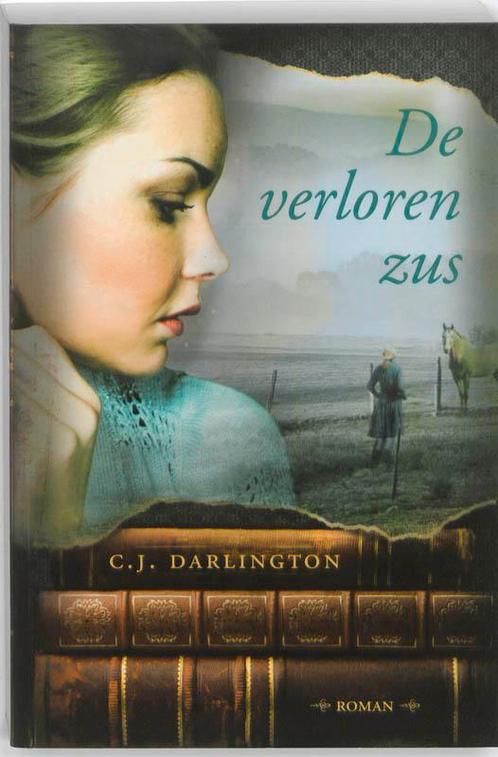 De verloren zus 9789033123474 C.J. Darlington, Boeken, Romans, Gelezen, Verzenden