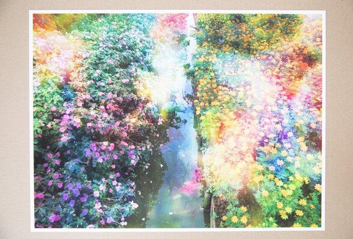 Viet Ha Tran - Flower dreams, Antiek en Kunst, Kunst | Designobjecten