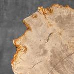 Prachtige plak versteend hout op een aangepaste standaard -, Antiek en Kunst