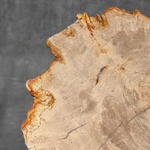 Prachtige plak versteend hout op een aangepaste standaard -, Antiek en Kunst, Kunst | Designobjecten