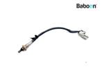 Lambda Sonde Harley-Davidson RH 1250 S Sportster 2021-2023, Motoren, Verzenden, Gebruikt