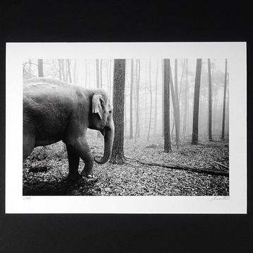 Frank Machalowski - tierwald#175