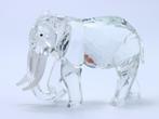 Figuur - Swarovski - Olifant (Boxed + certificate) - Kristal, Antiek en Kunst