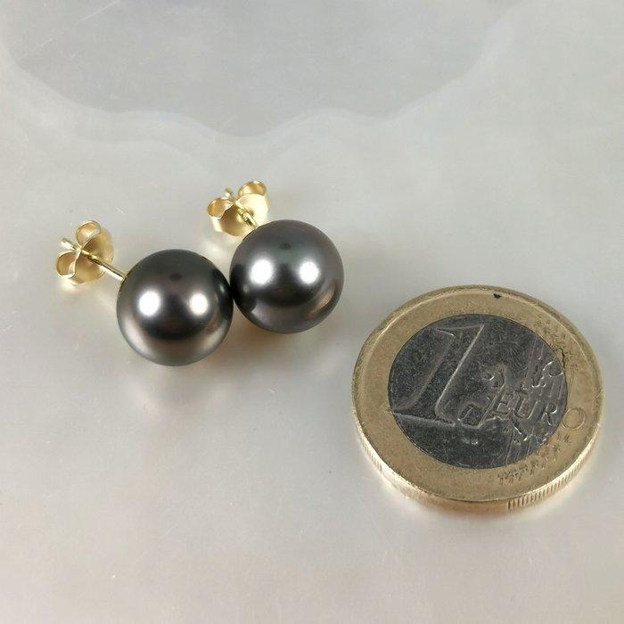 Oorbellen - 18 karaat Geel goud Parel - Tahiti RD Ø 10,5x11, Handtassen en Accessoires, Oorbellen