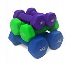 Dumbell combinatie set 10 kg totaal - met koffer, Sport en Fitness, Ophalen of Verzenden, Nieuw