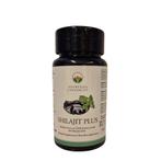 Shilajit Plus (350 mg 50% fulvic acid + 150 mg Ashwagandha), Ophalen of Verzenden, Nieuw