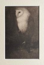 Jan Mankes (1889-1920), after - Uil op boomtak