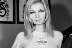Franco Turcati - Patty Pravo (1966), Antiek en Kunst