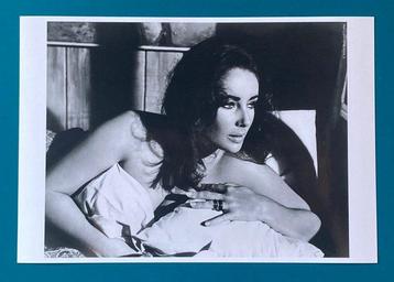 Sunset Boulevard - Elizabeth Taylor sur le tournage de The